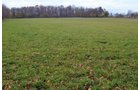 Property photo 7 - 80 Acres & Home - Property Offered in 4 Tracts from 2.3 to 30.0 Acres
